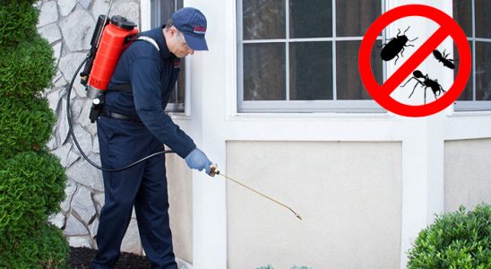 Sütçüler Haşere İlaçlama böcek ilaçlama ve haşere kontrolü — ilaclama-tr.com
